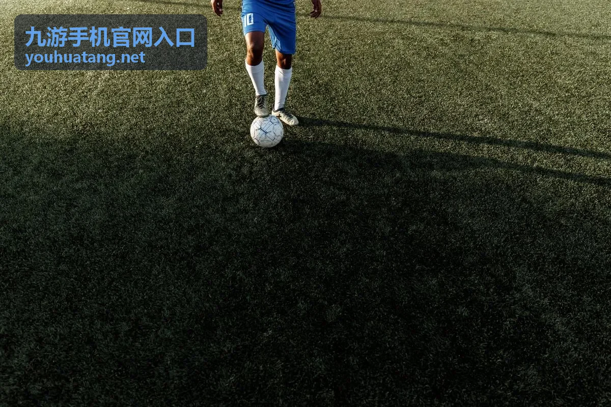 九游手机官网入口第二步：完成账号登录与安全验证